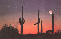 
A picturesque view of Venus, Mars, Jupiter, and the Moon at dusk in Arizona's Superstition Mountains.
